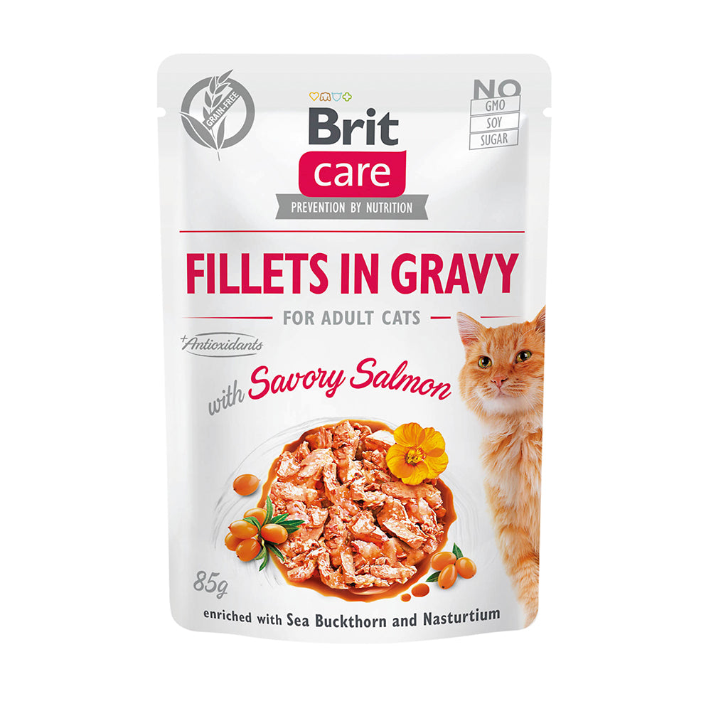 Brit Care Fillets in Sauce mit Lachs 85g